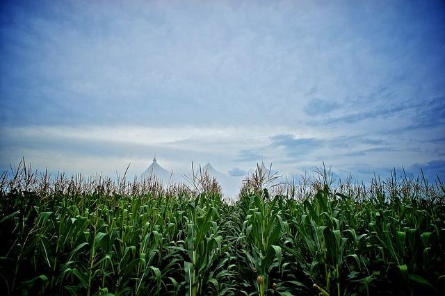 Projet 52 - Semaine 32 DSC05811