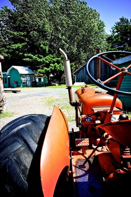 Projet 52 - Semaine 32 DSC06248