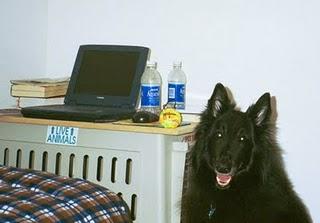 Requiem pour mon ami Shadow Requiem pour mon ami Shadow