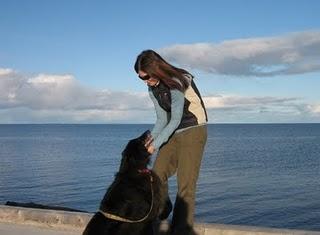 Requiem pour mon ami Shadow Requiem pour mon ami Shadow