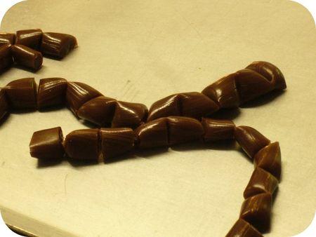 Une semaine en Cotentin P1260941