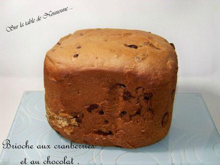 Brioche aux cranberries et chocolat Brioche cranberries et chocolat 1