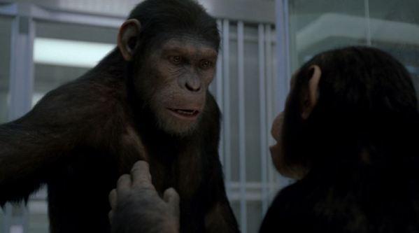 J’ai testé: La Planète des singes: les origines au cinéma