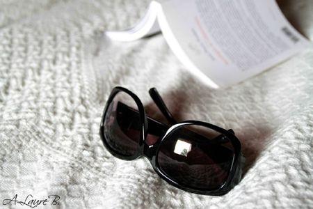 lunette soleil 011 copie