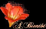 Petites madeleines a la confiture d'abricots 99e461f3