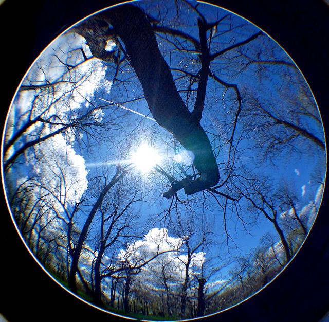 Et le soleil brilla sur la blogosphère.... DSC00242