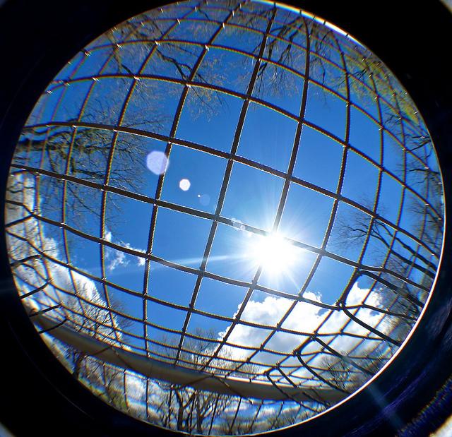 Et le soleil brilla sur la blogosphère.... DSC00237