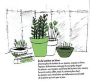 “Mes trucs et astuces jardin” : quand jardiner devient facile