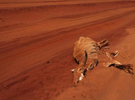 Au-delà de l'effondrement, 33 : Le Dernier Homme de Jean-Baptiste Cousin de Grainville