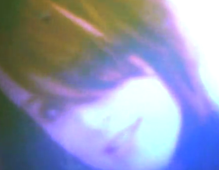 Video : Maria Minerva - Ruff Trade