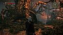 http://image.jeuxvideo.com/images/pc/t/h/the-witcher-2-assassins-of-kings-pc-1305820712-341.gif
