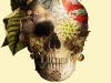 calavera_web_640 calavera_web_640