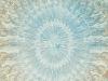 1000bodies_web_640 1000bodies_web_640