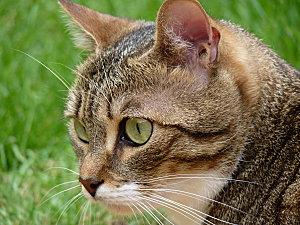 Petit week-end à la campagne P1050905.JPG