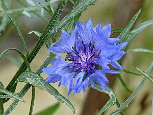 Petit week-end à la campagne P1050914.JPG