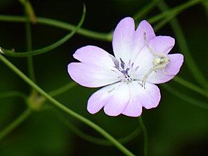 Petit week-end à la campagne P1050916.JPG