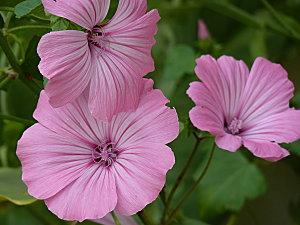 Petit week-end à la campagne P1050910.JPG