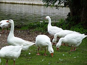 Petit week-end à la campagne P1050878.JPG