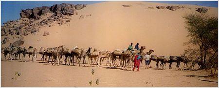 Le stéréotype touareg : Paul Pandollfi caravane de sel