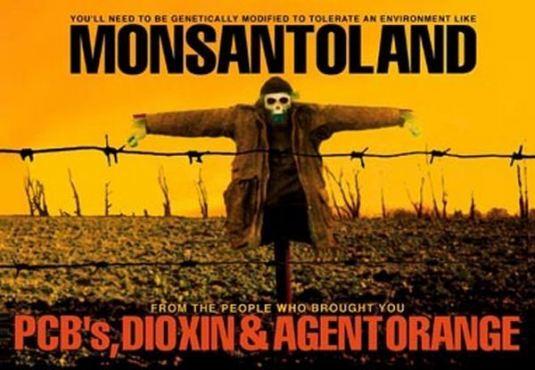 Monsanto, poursuivi pour  « biopiraterie » : une victoire écologique.