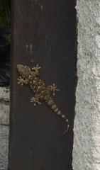 UN JOUR D'ETE (Maurice FOMBEURE) poésie,poète,poème,écriture,été,saison,livre,auteur