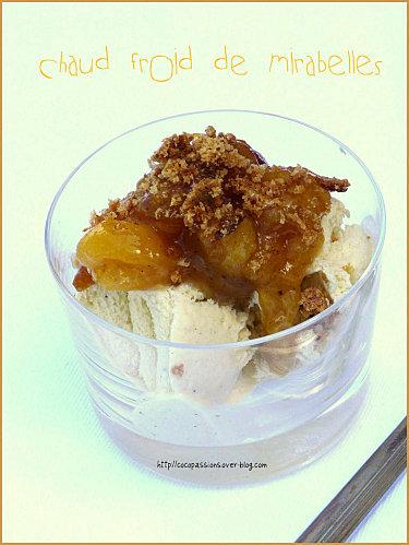 Chaud froid de mirabelles P1070405-1.JPG