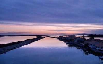 Mon été avec ... Madame Camembert Canal.jpg