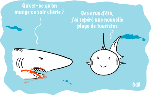 Les requins passent à l'attaque attaquesRequins.png