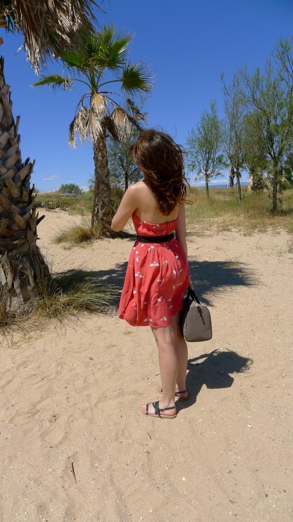 Flamants Roses à la plage P1030402.jpg