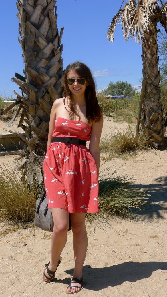 Flamants Roses à la plage P1030399.jpg