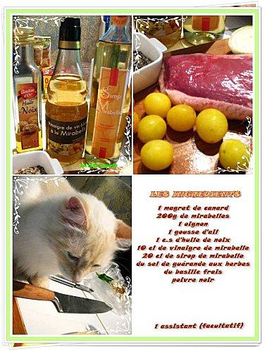 ingredient-magret-mirabelle.jpg