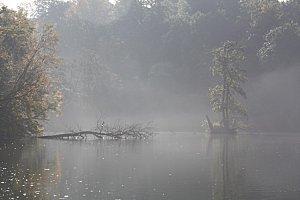 MATIN BRUMEUX ET SONGES FEUTRÉS matin-brumeux.jpg