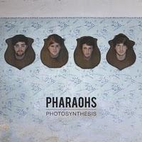 Chronique // Pharaohs - Photosynthesis