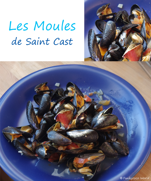 Moules de Saint Cast