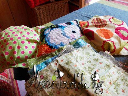 Le plaid dodu DSCN0145