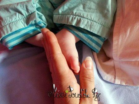 Le plaid dodu DSCN0179