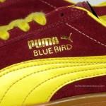 puma-bluebird-3 puma bluebird 3 150x150 Puma Bluebird dispos