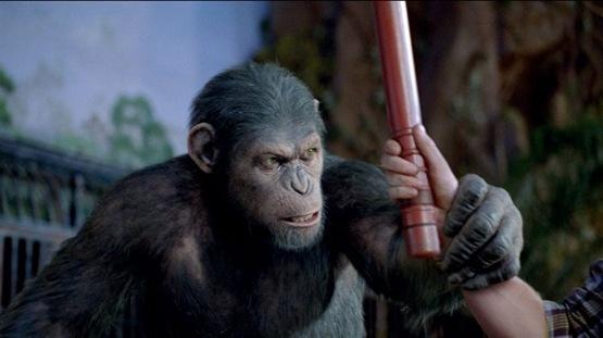 La planète des singes les origines - 3