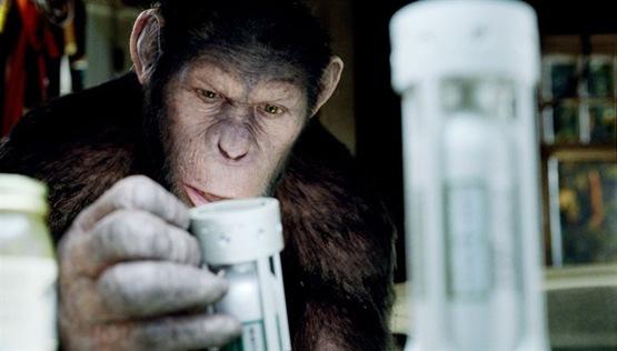 La planète des singes les origines - 7