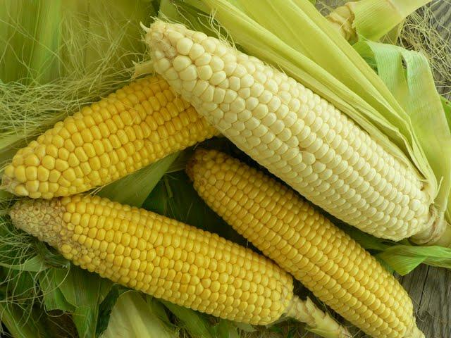 Corn On the Cob