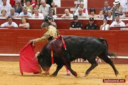 LE TOUJOURS JEUNE RUIZ MIGUEL miguel__7_1600x1200