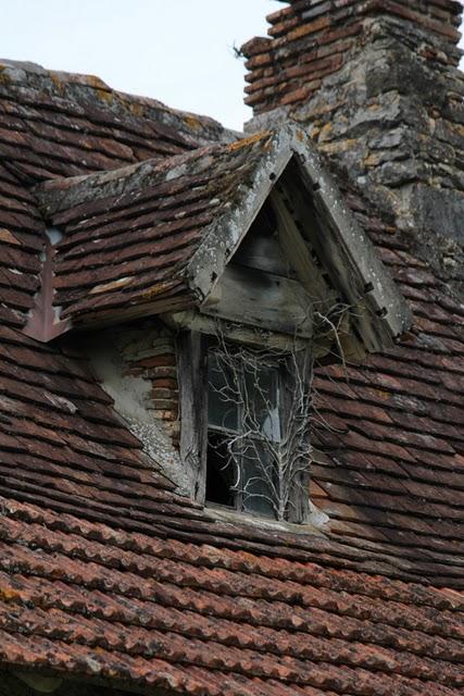 Lors de mon dernier séjour dans le Lot j'ai picoré .
... Lors de mon dernier séjour dans le Lot j'ai picoré .
...