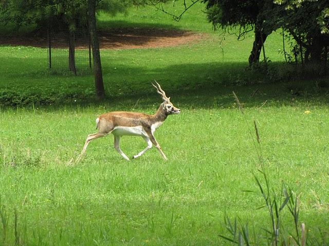 encore des photos encore des photos