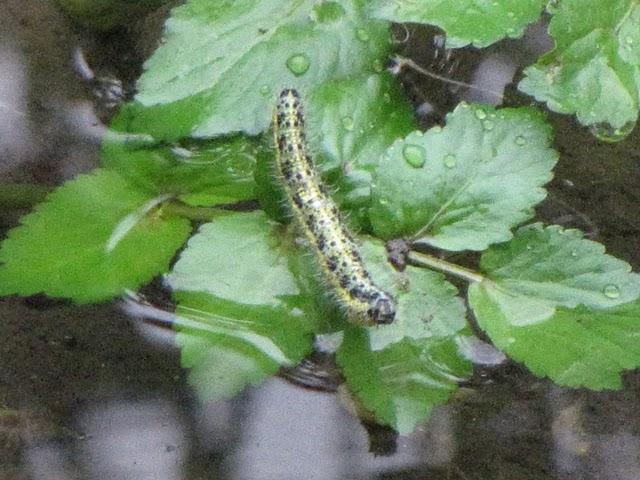 encore des photos encore des photos