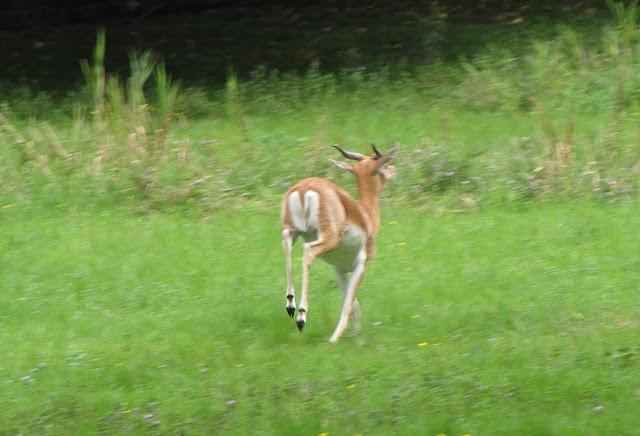 encore des photos encore des photos