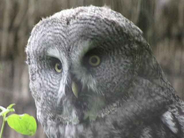 encore des photos encore des photos