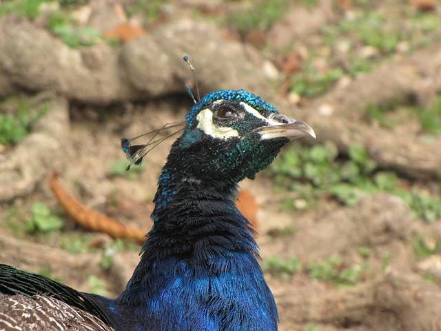 encore des photos encore des photos