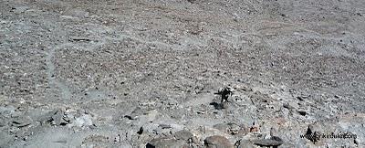 Impro queyrassine... Impro queyrassine...