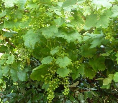 J'ai trouvé l' étépendant mes vacances...Soleil, Grande b... J'ai trouvé l' étépendant mes vacances...Soleil, Grande b...