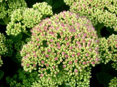 J'ai trouvé l' étépendant mes vacances...Soleil, Grande b... J'ai trouvé l' étépendant mes vacances...Soleil, Grande b...